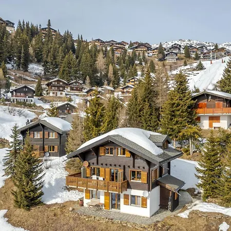Harpa Og Apartment Bettmeralp