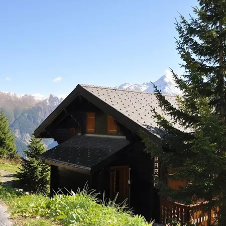 Harpa Og * Bettmeralp