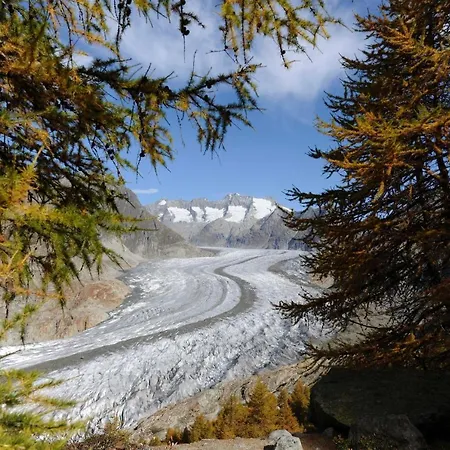 Harpa Og * Bettmeralp