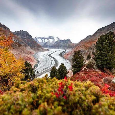 Apartmán Harpa Og *